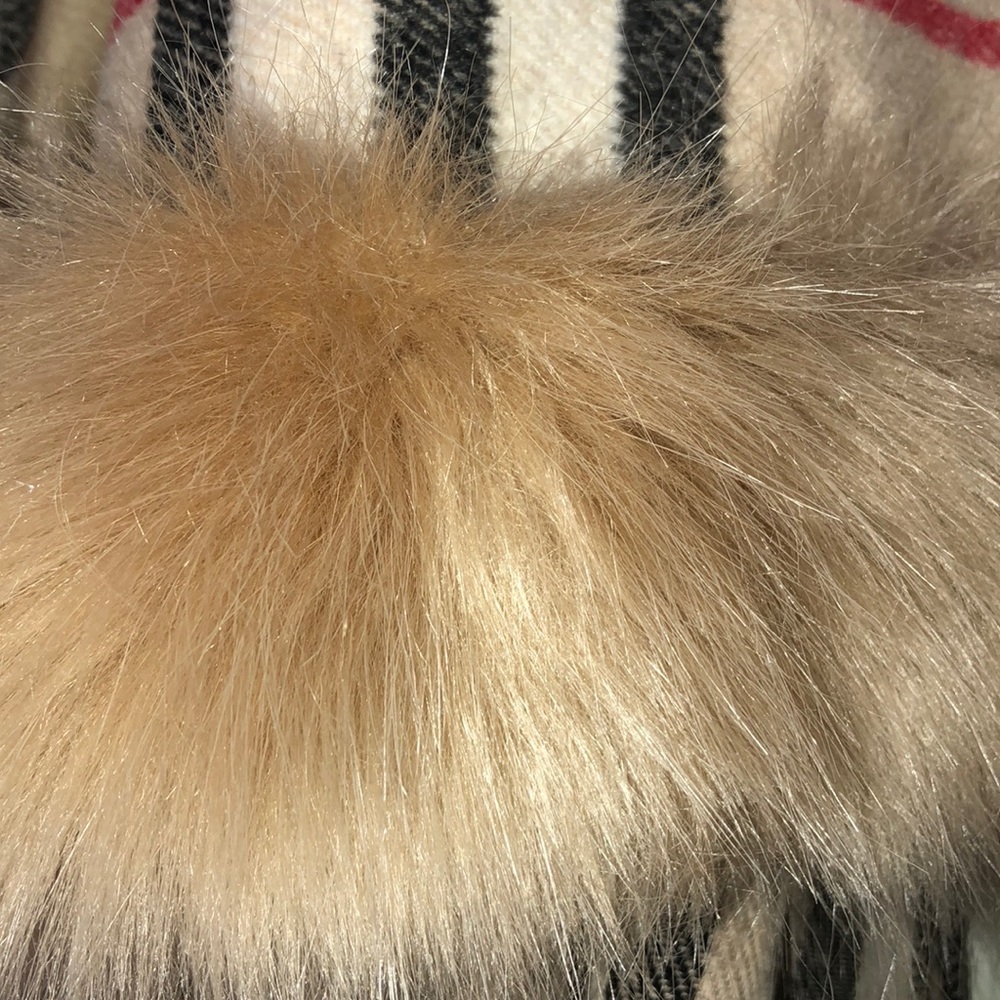 Poncho! - Picture 6 of 6